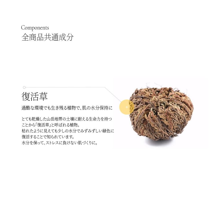 C-TRIAL